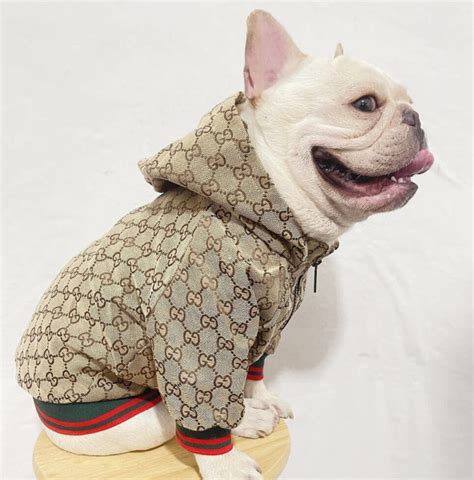 gucci dog hoodie|gucci dog jacket sale.